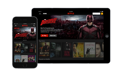 netflix picture